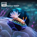 WZATCO Yuva Go Plus, 1080P Native Projector 4K Ultra HD - Open Box - Image 3